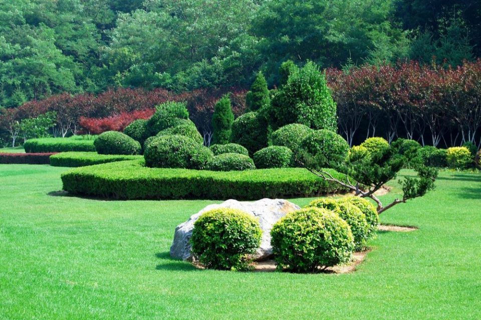 assainissement et du terrassement